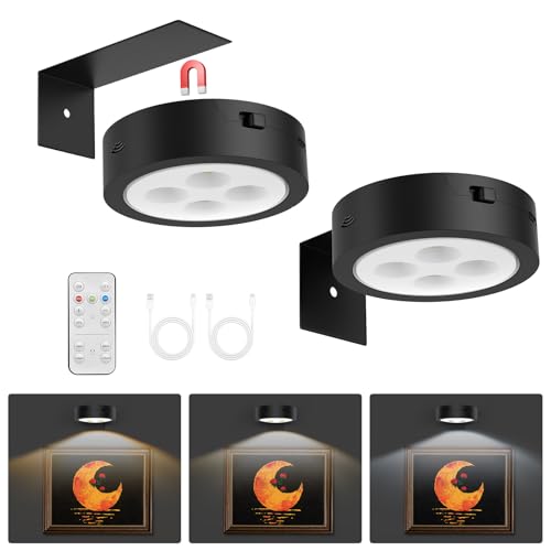 2Pack LED Picture Lights - Rechargeable Battery Operated Art Display Light with Remote Control, Timer & Dimmable Wall Sconce for Wall Art