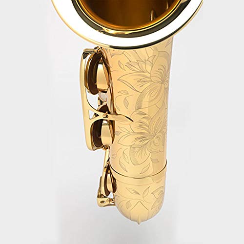 Amazon | H.Selmer/TENOR SAX AXOS セルマー テナーサックス アクソス