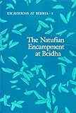 The Natufian Encampment at Beidha: Late Pleistocene Adaptation in the Southern Levant (Jysk Arkæologisk Selskabs Skrifter)