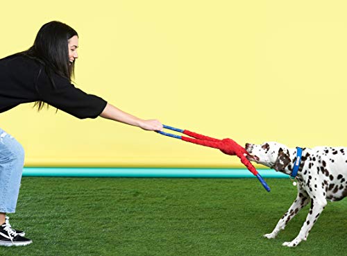 Zippypaws ZP808 Ropetugz Blue Monkey Dog Toy - Durable Rope, Squeaky Chew Toy thumb #3
