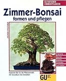  Zimmer-Bonsai formen & pflegen. Von