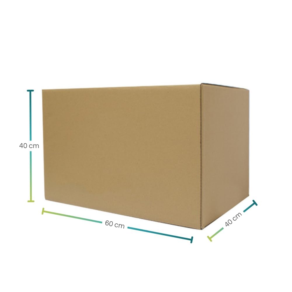 Palucart 20 Scatole per trasloco mis. 60x40x40 cm - M