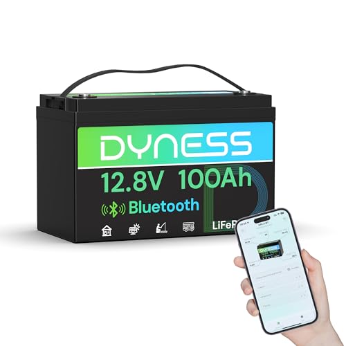 Dyness Batteria LiFePO4 12V 100Ah Bluetooth, Batteria al Litio con BMS 100A, Protezione a Basse Temperature, per Nautica, Camper, Impianti Solari off-grid