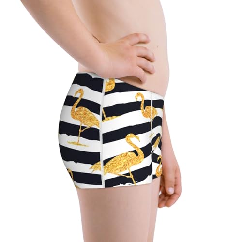Boys' Cotton Boxer Brief Soft Underwear-Gold Flamingo2