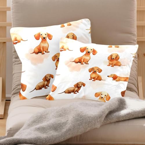 Fundas de cojín de perro salchicha para tardes de sofá confortables en el salón 3