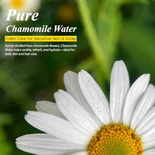 Image of Chamomile Floral Water 100ml | 100% Pure & Natural Skin Toner | Soothing Face Mist for Acne, Sunburn & Irritation | Alcohol-Free Hydrosol for Skin & Hair