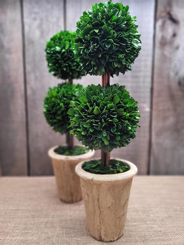 Tradingsmith Preserved Boxwood Double Ball Topiary 20 inch, Set of 2 Preserved Boxwood 20