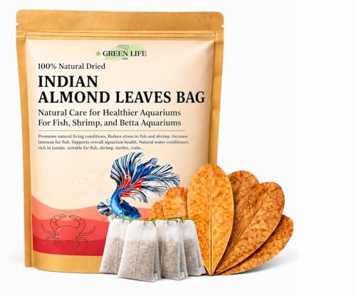 Image of Premium Indian Almond Leaf Tea Bag A+ Grade, 60 Teabags, Convenient for Collecting, Catappa Leaves Rich in Tannin. Awsome Aquarium Decorations (Tea Bag Powder).