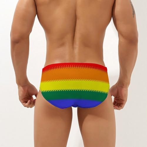 Sewn LGBT Flag Men's Swimsuit Bikini Briefs Swim Underwear Stretchy Swimwear3