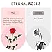 Imagen de VBNZBK Regalo de Rosa Eterna