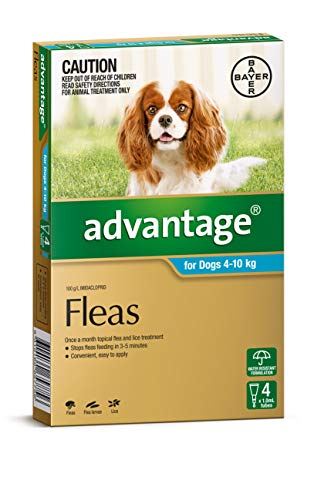 bio active care flea collar