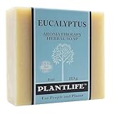 Eucalyptus 100% Pure & Natural Aromatherapy Herbal Soap- 4 oz (113g)
