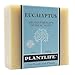 Eucalyptus 100% Pure & Natural Aromatherapy Herbal Soap- 4 oz (113g)
