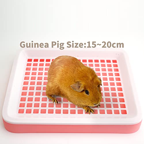 Vaso sanitário de porquinho-da-índia, canto de treinamento de vaso sanitário de animais pequenos, ca