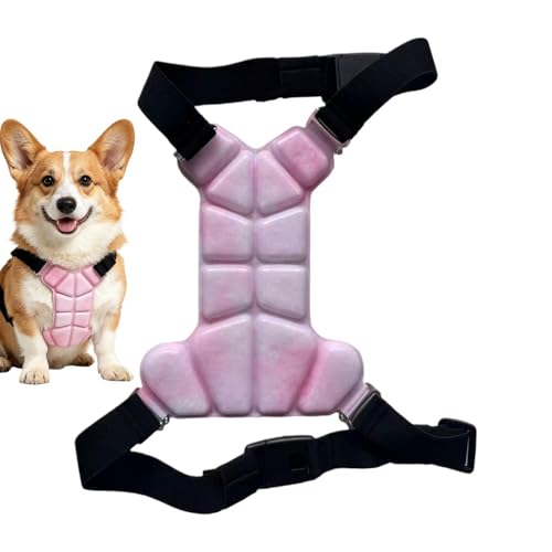 Chaleco de verano para perro ideal para senderismo y paseos con correa ajustable 2