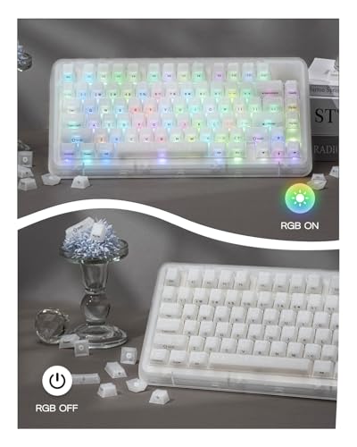 Image of EPOMAKER Frost Jelly Keycaps Set, 126 Keys Forged Carbon Fiber Keycaps | Cherry Profile, ABS+PC, MX-Style Compatible for 61 /68 /84 /87 /98 /100 /104 /108 ANSI Layout Mechanical Gaming Keyboards (White)