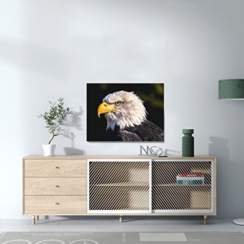 Tableau décoratif tête aigle pygargue emblème États-Unis