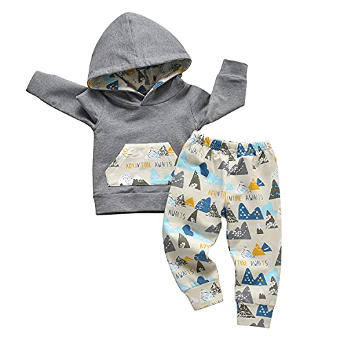 Image of Toddler Baby Boys Cartoon Little Bear Long Sleeve Hoodie Tops Pants Outfit Clothes Set