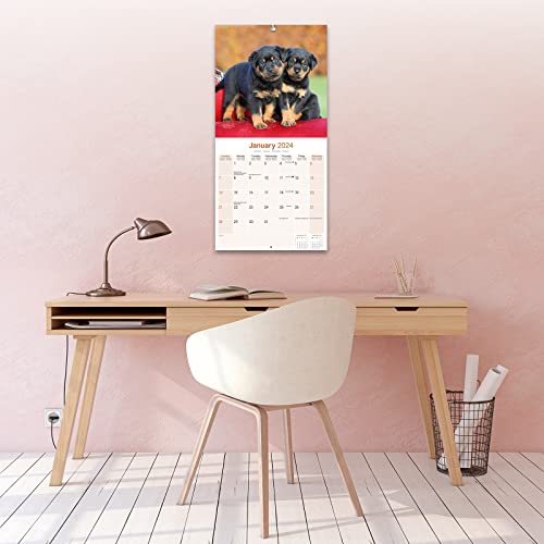 Rottweiler Calendar 2024 - Image 4