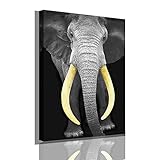 N/H Wild Animals Picture Wall Art Decor Canvas Painting Kitchen Prints Pictures for Home Living Dini