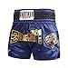 Unisex Boxing Shorts for MMA Muay Thai Training Trunks, Lightweight Breathable Fitness Workout Shorts with Elastic Waistband, Martial Arts Shorts for Adults(XXL)(No. 66)