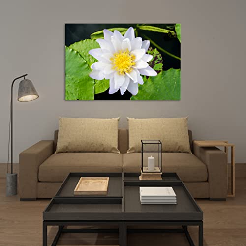 Tableau sur toile fleurs DCF078-2 phosphorescent 80x120 cm - 3