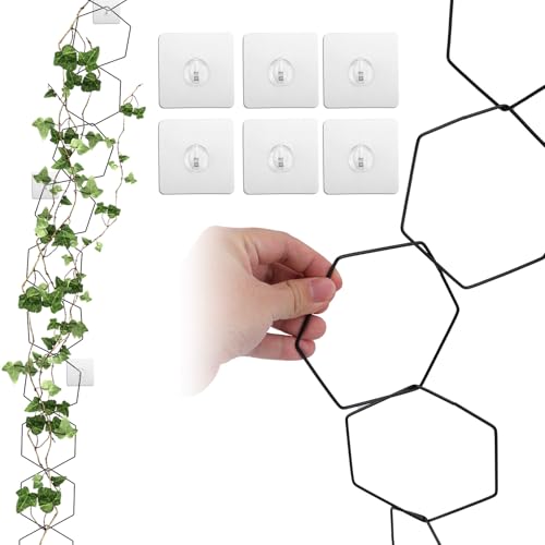 18uds Enrejado para Plantas Trepadoras, Soporte para Plantas Trepadoras de Hierro Enrejado de Pared para Jardín Accesorios para Interior y Exterior con 6 Ganchos para Monstera Pothos Ivy