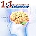 Teaching Model Tools,Human Brain Model 8-Part Neuroscience Brain Model with Arteries Detachable Brain Amygdala Model,Brain Anatomy Model Life Size for Classroom Study Display Medic
