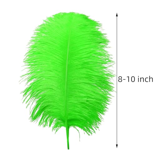 image for Ballinger Lime Green Ostrich Feathers - 24Pcs 8-10inch Large Green Fea