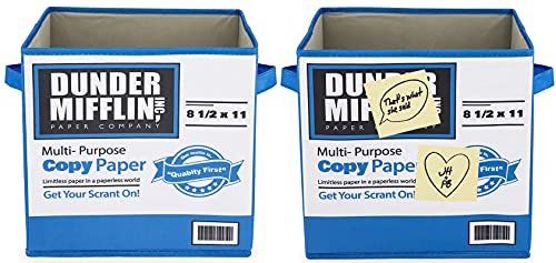 Jay Franco The Office Dunder Mifflin 2 Pack Collapsible Cube Storage Bins â€“ Foldable Organizer with Handles (Official The Office Product)