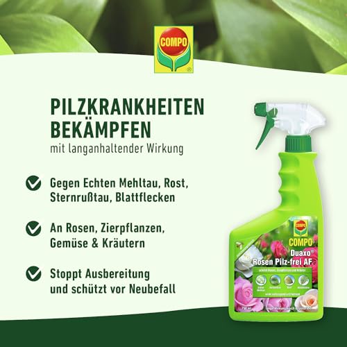 Compo Duaxo Rosen Pilz-frei AF, Bekämpfung von Pilzkrankheiten an Rosen, Zierpflanzen und Kräutern, Anwendungsfertige Handsprühflasche, 750 ml