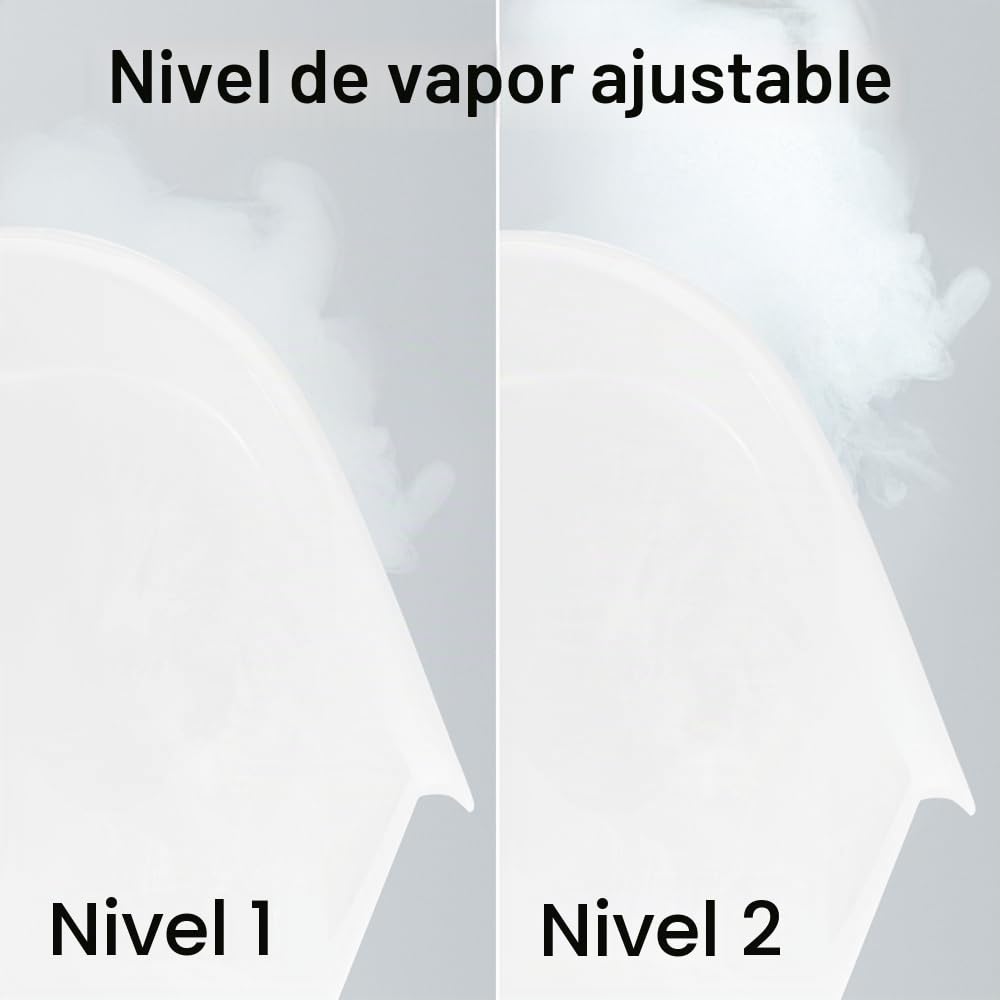 Rio Beauty FSTE - Inhalador de vapor, 2 niveles