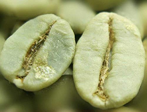 500g (1.1LB) R[q[n[ueB[t[eB[ԑtBrazil Green Coffee Beans 100% Original High Quality Green Coffee herbal tea Green te