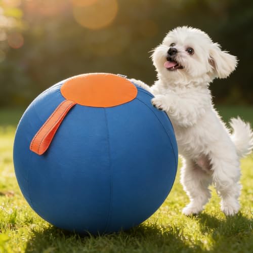 Balle gonflable pour chien de hérisson jouet mouvement extérieur