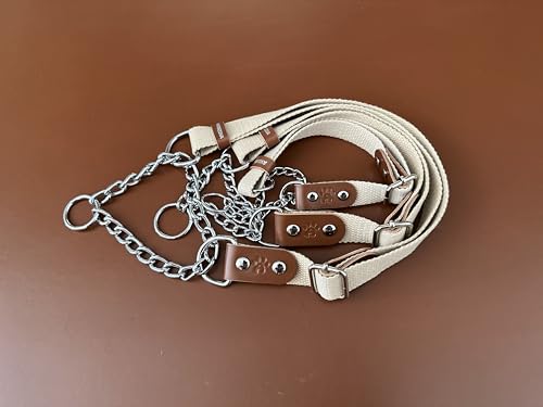 Martingale Zugstopp Halsband für Hunde mit Kette und Leder. Zughalsband für Kleine. M. Beige & Cognac