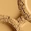 637 Amber Sand - medium light with warm undertone