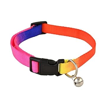 RvPaws Soft Belt Adjustable Kitten Collar Printed Bell Cat, Kitten, Puppy - Multicolor