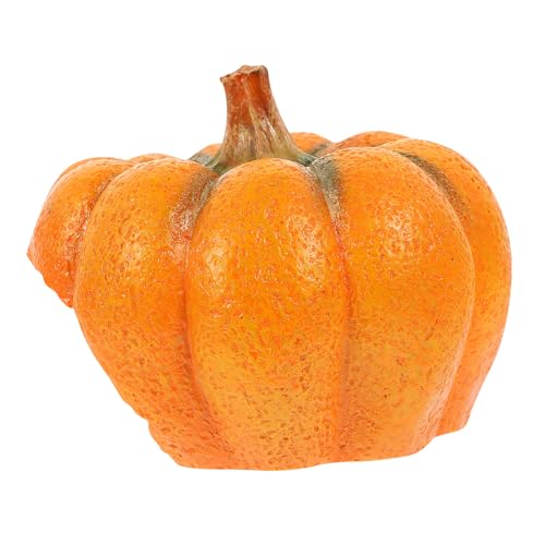PLAFOPE ঒��މB��� �������J�{�`������ �n���X�^�[ ���h�J���p�e�����E�����A �������V�яꌓ�B��ꏊ