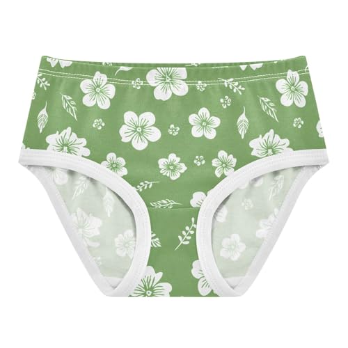 Flowers Floral Green Toddler Girls's Underwear 2T 2302880