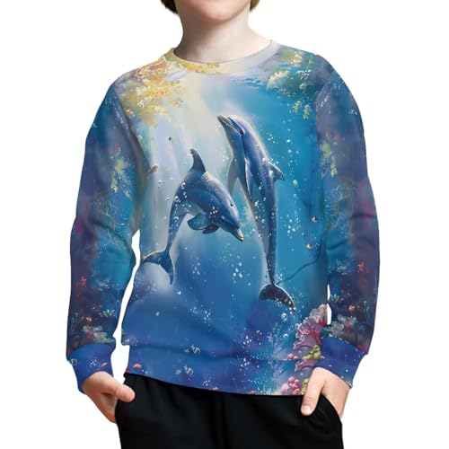 Boys Cool Sweatshirts Casual Crewneck Long Sleeve Shirt for Kids 6-16 Years Old