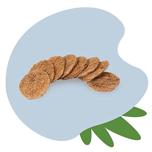 Image of TUSHY Coconut Husk Scrubbing Pads for The TUSHY Brush - 16 Lemon & Tea Tree Oil-Infused Coconut Husk Scrubbing Pads