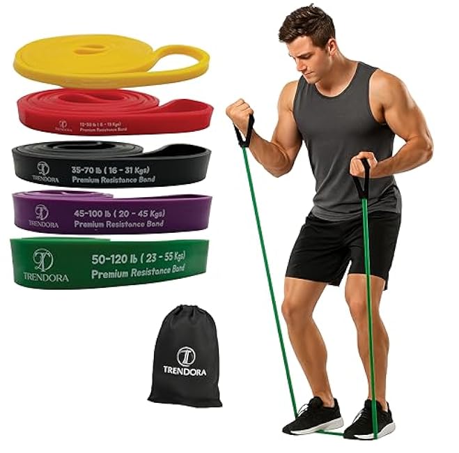 Premium Resistance Bands Set of 5, Exercise Bands, Workout Bands Set for Working Out with Handles for Men Women- Includes 2 Handles,2 Hooks,Storage Bags