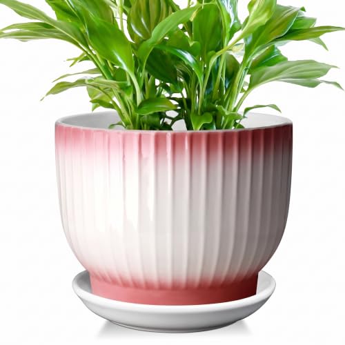 YUFDA 8 Inch Ceramic Plant Pot, Pink + White