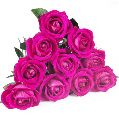 DECEED  o [Y KN 10{Zbg ԑ o^Cf[ u[P ̓  a Ԍa7cm×50cmitCgj