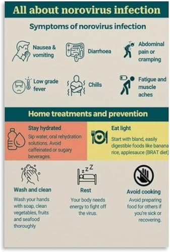 Bathroom Wellness Poster Health Awareness Educational Chart Canvas Wall Art for Home Decor Living Room Healthy Habits Guide(Fram