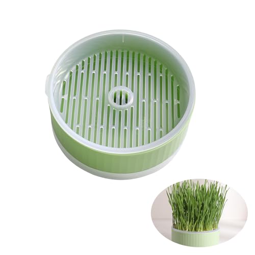 Iilnlaty Hydroponic Cat Grass Planter Kit for Indoor Cats - Easy to Grow (No Seeds Included) (Green)