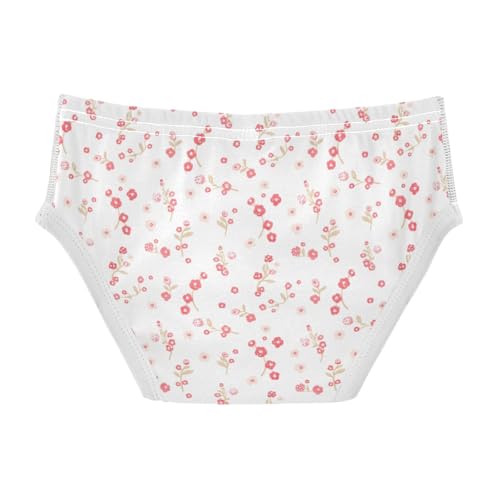 Flowers Floral Toddler Boy's Underwear 2T 23022032