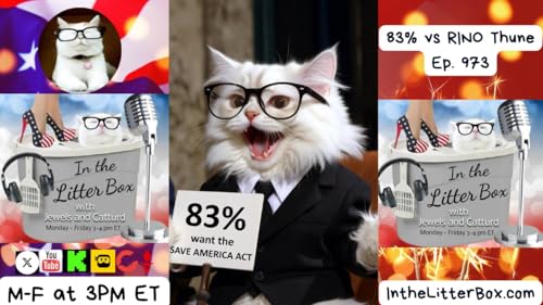 83% vs RINO Thune | In the Litter Box w/ Jewels Jones & Catturd &ndash; Ep. 973 &ndash; 2/19/2026