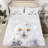 Feelyou Bald Eagle Fitted Sheet Owl Bedding Set 3D Bird Animal Bed Sheet Set for Boys Girls Children Teens Bedroom Decor Snowy Owl Decor Bed Cover No Flat Sheet Queen Size with 2 Pillow Case