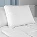 BioPEDIC Low Profile Hypoallergenic,Polyester, Flat Pillow (2 Pack),Standard/Queen, White